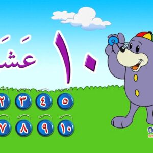 تعلم الأرقام العربية مع زاكي